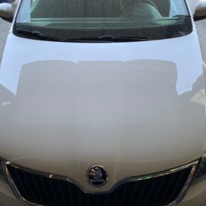 CAPO SKODA RAPID (NH)