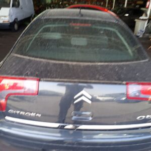 PORTON TRASERO CITROEN C5 BERLINA