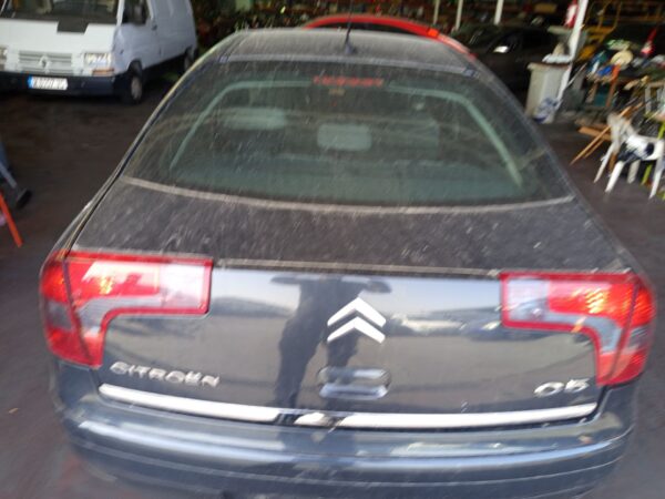 PORTON TRASERO CITROEN C5 BERLINA