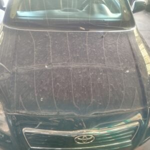 CAPO TOYOTA AVENSIS WAGON (T25)