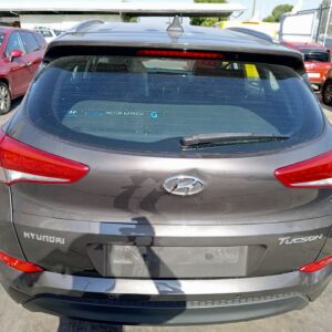 PORTON TRASERO HYUNDAI TUCSON (TL)