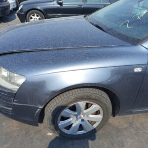 ALETA DELANTERA IZQUIERDA AUDI A6 AVANT (4F5)
