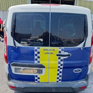 PUERTA TRASERA DERECHA FORD TRANSIT CONNECT (CHC)