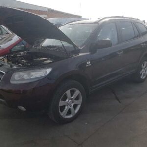 MANGUETA DELANTERA IZQUIERDA HYUNDAI SANTA FE (CM)