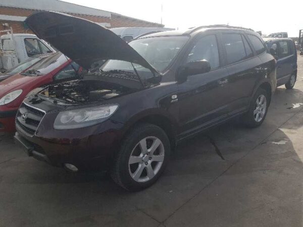 PUERTA TRASERA IZQUIERDA HYUNDAI SANTA FE (CM)
