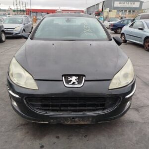 PORTON TRASERO PEUGEOT 407