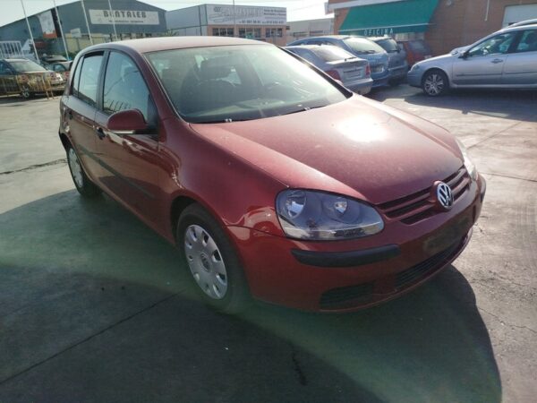 PUERTA TRASERA DERECHA VOLKSWAGEN GOLF V (1K1)(10.2003) - Imagen 5