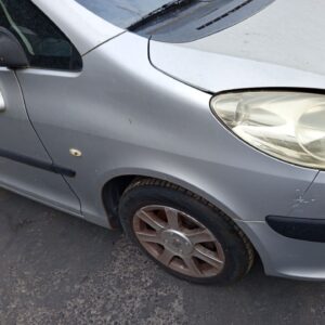ALETA DELANTERA DERECHA PEUGEOT 1007