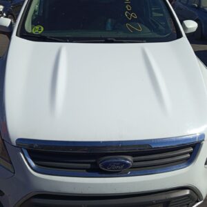 CAPO FORD KUGA (CBV)