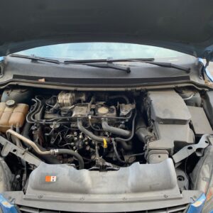 CAJA CAMBIOS FORD FOCUS BERLINA (CAP)