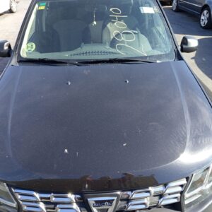 CAPO DACIA DUSTER I