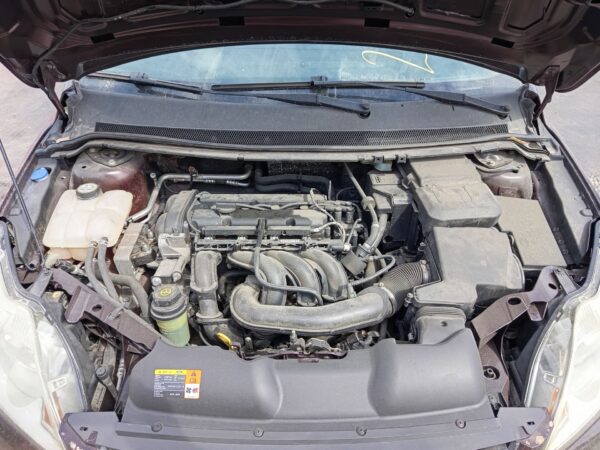 RADIADOR AGUA FORD FOCUS BERLINA (CB4)