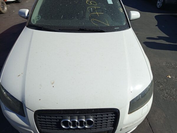 CAPO AUDI A3 (8P1)