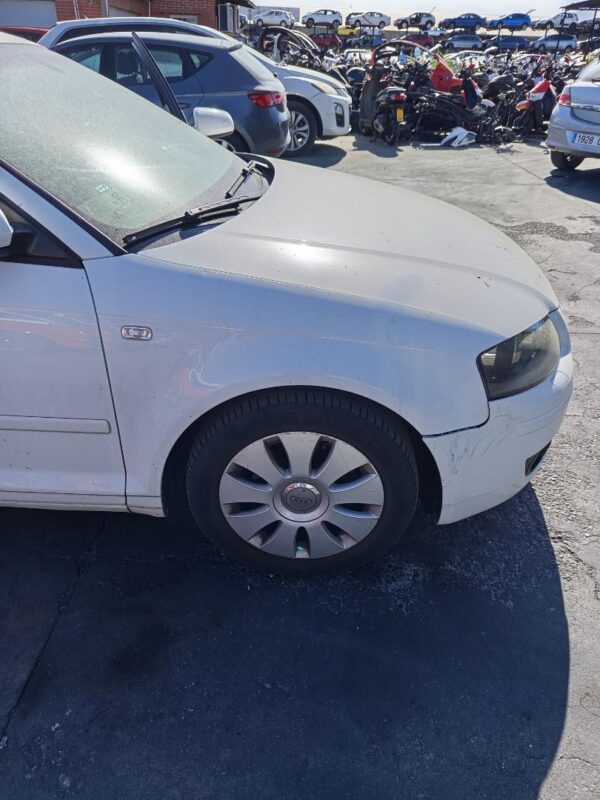 ALETA DELANTERA DERECHA AUDI A3 (8P1)