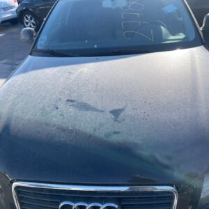CAPO AUDI A3 SPORTBACK (8PA)