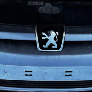 PARAGOLPES DELANTERO PEUGEOT 307 BREAK / SW (S1)(04.2002)