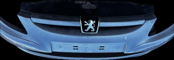 PARAGOLPES DELANTERO PEUGEOT 307 BREAK / SW (S1)(04.2002)