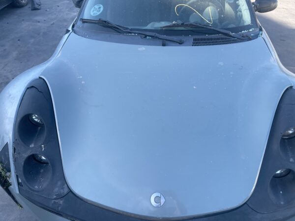 CAPO SMART ROADSTER/COUPE