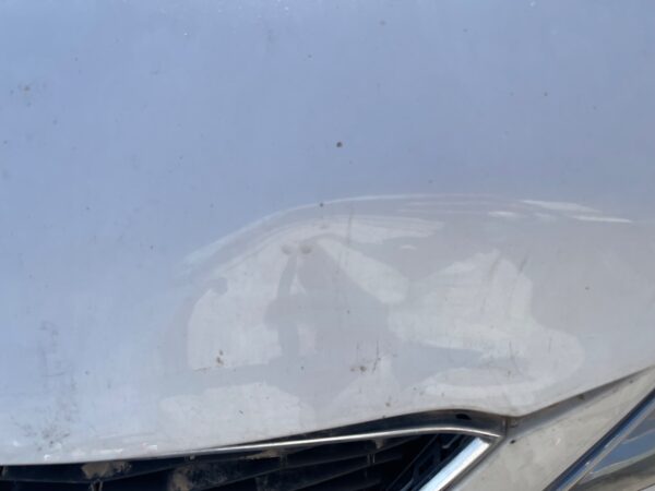 CAPO SEAT IBIZA BERLINA (6J5)