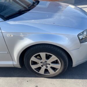 ALETA DELANTERA DERECHA AUDI A3 (8P1)