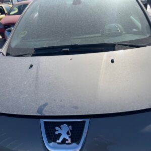 CAPO PEUGEOT 3008