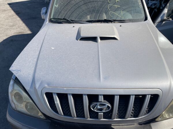 CAPO HYUNDAI TERRACAN (HP)