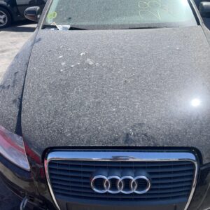 CAPO AUDI A6 BERLINA (4F2)