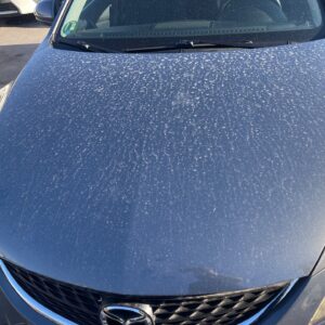 CAPO MAZDA 6 BERLINA (GH)