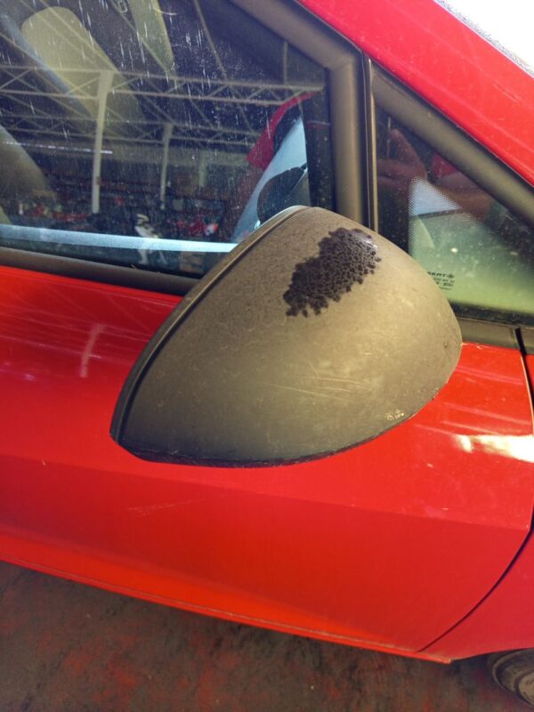 RETROVISOR DERECHO SEAT IBIZA ST (6P8)