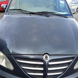 CAPO SSANGYONG RODIUS