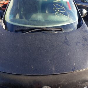 CAPO RENAULT SCENIC III (JZ)