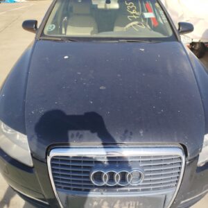 CAPO AUDI A6 BERLINA (4F2)