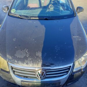 CAPO VOLKSWAGEN EOS (1F7)(2006)