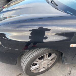 ALETA DELANTERA IZQUIERDA SEAT IBIZA (6L1)