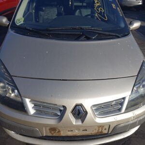 CAPO RENAULT SCENIC II (JM)