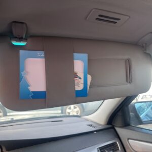 PARASOL DERECHO BMW SERIE 5 BERLINA (E60)