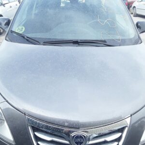 CAPO LANCIA YPSILON (402)