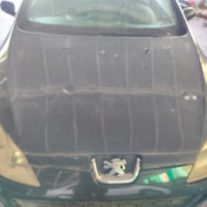 CAPO PEUGEOT 407 SW