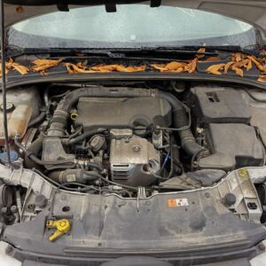 RADIADOR AGUA FORD FOCUS BERLINA (CB8)