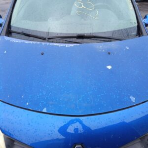 CAPO RENAULT CLIO III