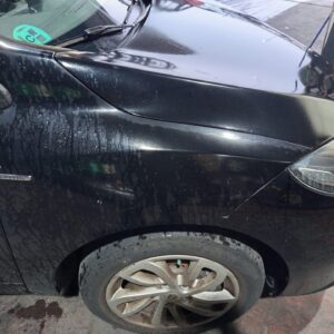 ALETA DELANTERA DERECHA RENAULT MEGANE III SPORT TOURER