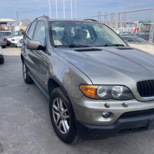 MANGUETA TRASERA IZQUIERDA BMW SERIE X5 (E53)