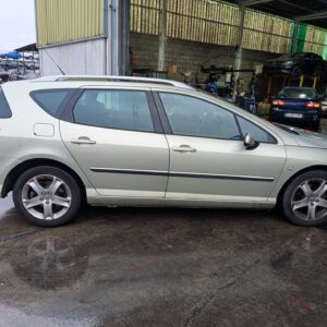 PUERTA TRASERA DERECHA PEUGEOT 407 SW