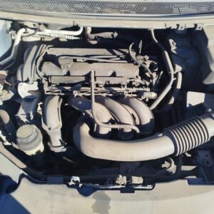 RADIADOR AGUA FORD FOCUS BERLINA (CAP)