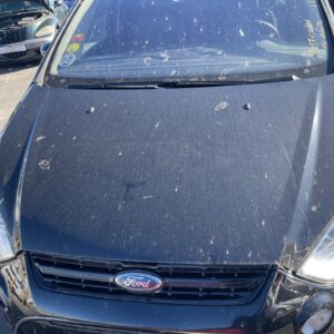 CAPO FORD S-MAX (CA1)