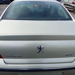 PORTON TRASERO PEUGEOT 407