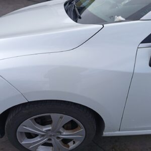 ALETA DELANTERA IZQUIERDA RENAULT MEGANE III COUPE-CABRIO