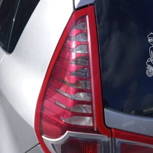 PILOTO TRASERO IZQUIERDO RENAULT SCENIC III (JZ)