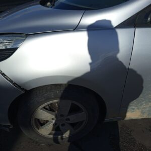 ALETA DELANTERA IZQUIERDA RENAULT SCENIC III (JZ)