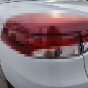 PILOTO TRASERO IZQUIERDO INTERIOR RENAULT MEGANE III COUPE-CABRIO